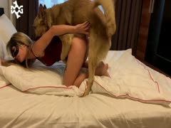 Homemade dog sex with his slutty owner on the bed